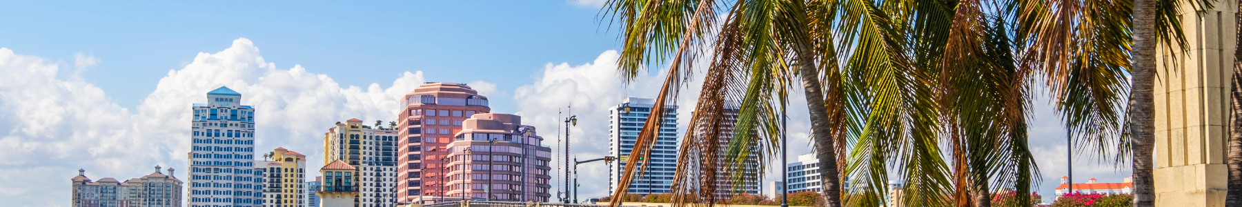 A city skyline in the daytime with a palm tree in the foreground.